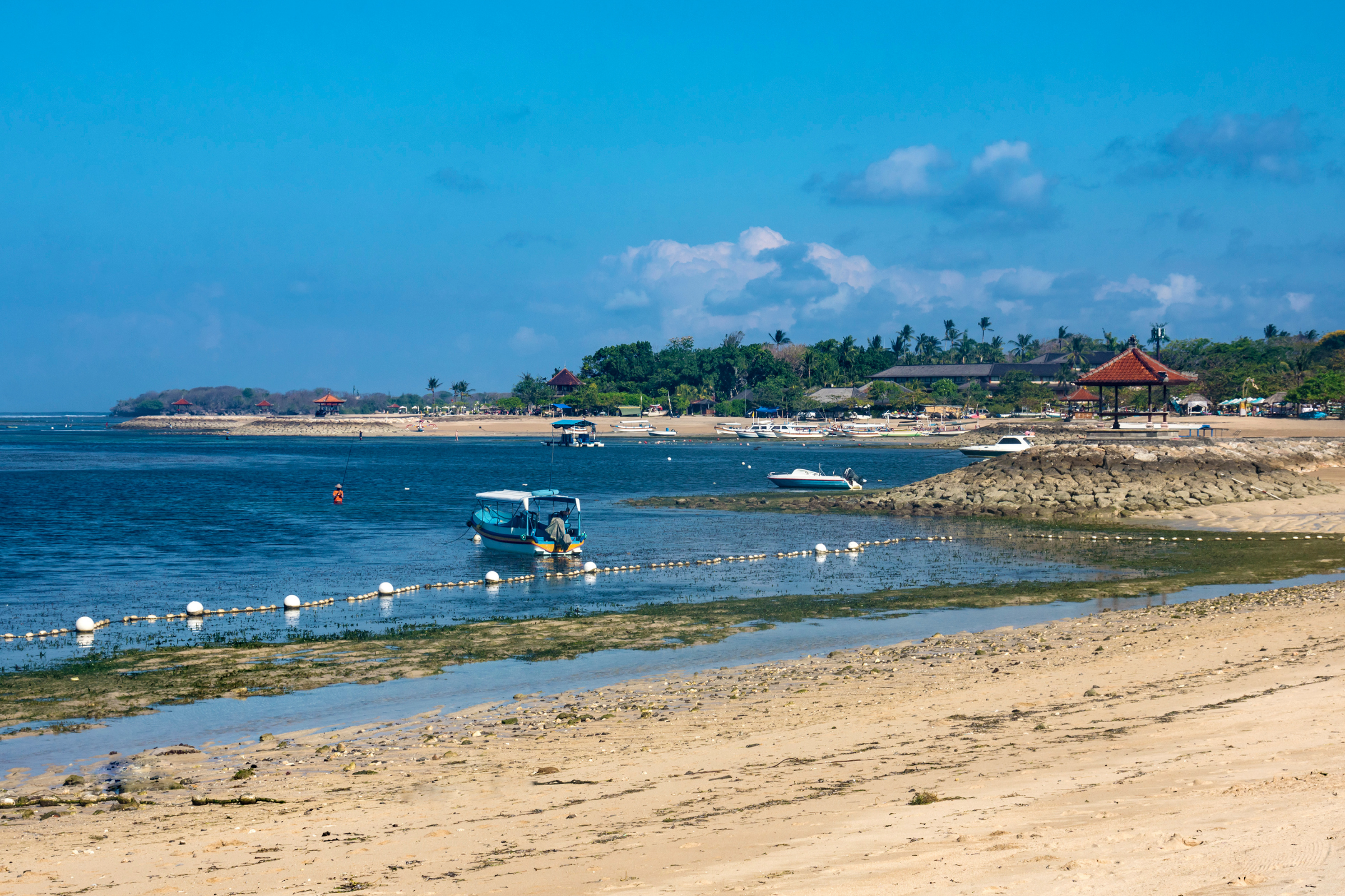 29 tanjung wangi.webp